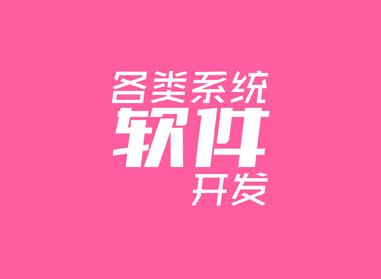 進(jìn)入了解各類(lèi)系統(tǒng)、軟件開(kāi)發(fā)